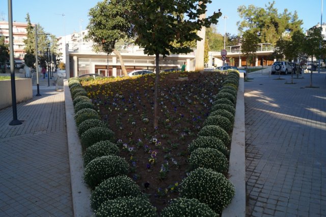 DSC04052-1