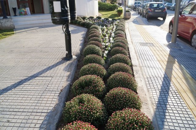 DSC04059-1