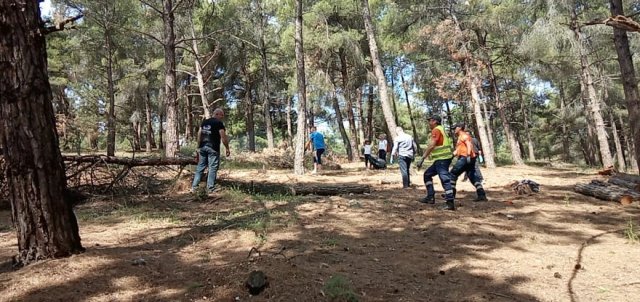 ΑΠΟΨΙΛΩΣΗ ΔΑΣΟΥΣ ΑΓΙΟΥ ΓΕΩΡΓΙΟΥ 2-1 n