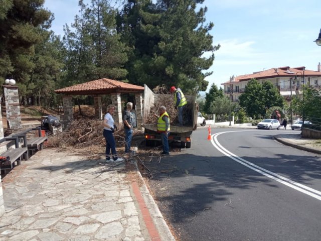 ΑΠΟΨΙΛΩΣΗ ΔΑΣΟΥΣ ΑΓΙΟΥ ΓΕΩΡΓΙΟΥ 4-1 n