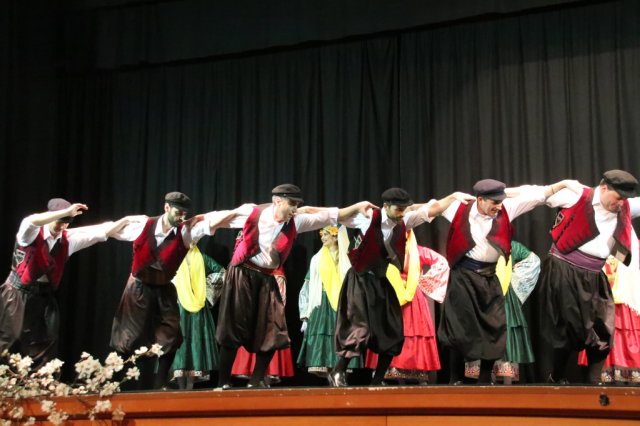 IMG 9954-1