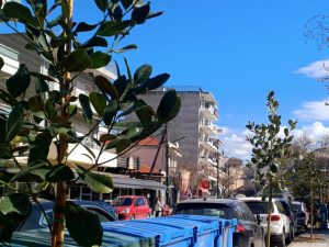 ΜΑΝΟΛΙΕΣ ΣΤΗΝ ΠΛΑΤΕΙΑ ΕΙΡΗΝΗΣ 3