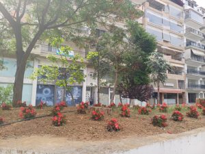 ΑΝΘΟΦΥΤΕΥΣΕΙΣ ΔΗΜΟΤΙΚΟ ΠΑΡΚΟ ΚΗΠΟΣ ΑΝΟΙΞΗ 2025 5