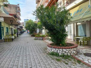 ΑΝΘΟΦΥΤΕΥΣΕΙΣ ΚΑΛΟΥΔΗ ΑΝΟΙΞΗ 2025 2