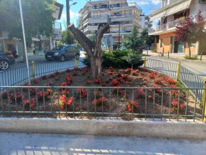 ΑΝΘΟΦΥΤΕΥΣΕΙΣ ΤΡΙΓΩΝΟ ΓΕΝΙΚΟΥ ΝΟΣΟΚΟΜΕΙΟΥ ΑΝΟΙΞΗ 2025 1