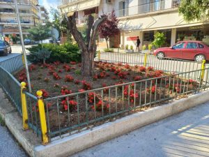 ΑΝΘΟΦΥΤΕΥΣΕΙΣ ΤΡΙΓΩΝΟ ΓΕΝΙΚΟΥ ΝΟΣΟΚΟΜΕΙΟΥ ΑΝΟΙΞΗ 2025 2