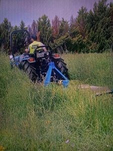 ΚΑΘΑΡΙΣΜΟΙ ΔΗΜΟΤΙΚΩΝ ΟΙΚΟΠΕΔΩΝ 2