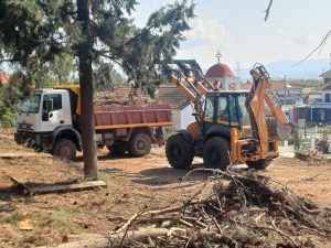 ΚΑΘΑΡΙΣΜΟΣ ΔΑΣΟΥΣ ΣΤΟΝ ΛΟΦΟ ΑΓΙΟΥ ΓΕΩΡΓΙΟΥ 1