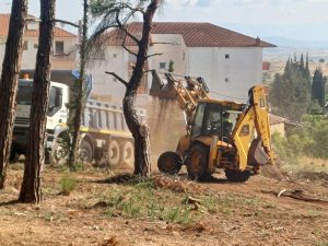 ΚΑΘΑΡΙΣΜΟΣ ΔΑΣΟΥΣ ΣΤΟΝ ΛΟΦΟ ΑΓΙΟΥ ΓΕΩΡΓΙΟΥ 5