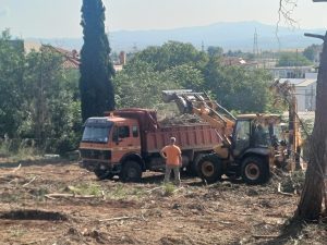 ΚΑΘΑΡΙΣΜΟΣ ΔΑΣΟΥΣ ΣΤΟΝ ΛΟΦΟ ΑΓΙΟΥ ΓΕΩΡΓΙΟΥ 6