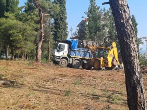 ΚΑΘΑΡΙΣΜΟΣ ΔΑΣΟΥΣ ΣΤΟΝ ΛΟΦΟ ΑΓΙΟΥ ΓΕΩΡΓΙΟΥ 7