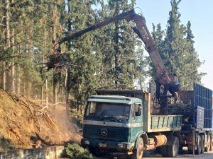 ΚΑΘΑΡΙΣΜΟΣ ΔΑΣΟΥΣ ΣΤΟΝ ΛΟΦΟ ΑΓΙΟΥ ΓΕΩΡΓΙΟΥ 9