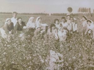 ΕΚΘΕΣΗ ΦΩΤΟΓΡΑΦΙΑΣ ΓΙΑ ΤΡΙΤΗ ΗΛΙΚΙΑ ΣΤΟΝ ΠΟΛΙΤΙΣΤΙΚΟ ΣΥΛΛΟΓΟ ΧΕΡΣΟΥ 7.1jpg