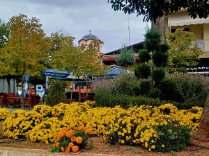 ΦΘΙΝΟΠΩΡΙΝΕΣ ΦΥΤΕΥΣΕΙΣ ΔΗΜΟΤΙΚΟ ΠΑΡΚΟ ΚΗΠΟΣ 1