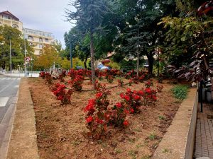 ΦΘΙΝΟΠΩΡΙΝΕΣ ΦΥΤΕΥΣΕΙΣ ΔΗΜΟΤΙΚΟ ΠΑΡΚΟ ΚΗΠΟΣ 3