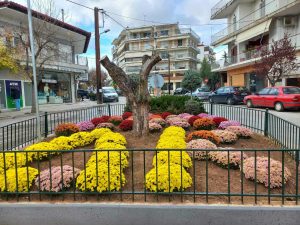 ΦΘΙΝΟΠΩΡΙΝΕΣ ΦΥΤΕΥΣΕΙΣ ΤΡΙΓΩΝΟ ΝΟΣΟΚΟΜΕΙΟΥ 1