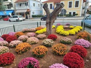 ΦΘΙΝΟΠΩΡΙΝΕΣ ΦΥΤΕΥΣΕΙΣ ΤΡΙΓΩΝΟ ΝΟΣΟΚΟΜΕΙΟΥ 3