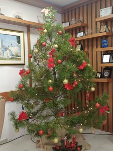 ΧΡΙΣΤΟΥΓΕΝΝΙΑΤΙΚΑ ΔΕΝΤΡΑ ΑΠΟ ΤΗ ΔΗΜΟΤΙΚΗ ΚΟΙΝΟΤΗΤΑ ΚΙΛΚΙΣ 1