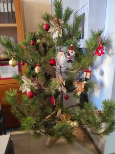 ΧΡΙΣΤΟΥΓΕΝΝΙΑΤΙΚΑ ΔΕΝΤΡΑ ΑΠΟ ΤΗ ΔΗΜΟΤΙΚΗ ΚΟΙΝΟΤΗΤΑ ΚΙΛΚΙΣ 2