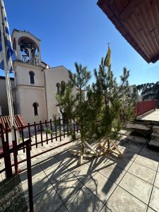 ΧΡΙΣΤΟΥΓΕΝΝΙΑΤΙΚΑ ΔΕΝΤΡΑ ΑΠΟ ΤΗ ΔΗΜΟΤΙΚΗ ΚΟΙΝΟΤΗΤΑ ΚΙΛΚΙΣ 5