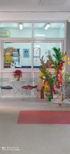 ΧΡΙΣΤΟΥΓΕΝΝΙΑΤΙΚΑ ΔΕΝΤΡΑ ΑΠΟ ΤΗ ΔΗΜΟΤΙΚΗ ΚΟΙΝΟΤΗΤΑ ΚΙΛΚΙΣ 6