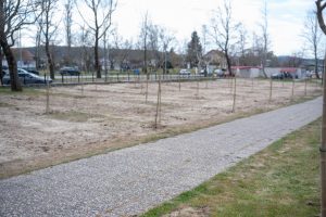 ΔΕΝΔΡΟΦΥΤΕΥΣΗ ΔΗΜΟΥ ΚΙΛΚΙΣ Ι.ΜΗΤΡΟΠΟΛΕΩΣ ΚΙΛΚΙΣ ΚΑΙ EURIMAC ΜΑΚΒΕΛ 4