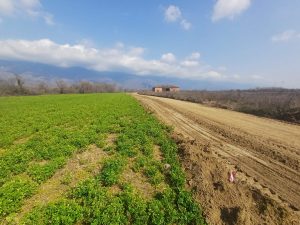 ΕΠΙΘΕΩΡΗΣΗ ΕΡΓΩΝ ΑΓΡΟΤΙΚΟΥ ΔΡΟΜΟΥ ΑΓΙΑΣ ΠΑΡΑΣΚΕΥΗΣ 2