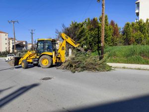 ΚΑΘΑΡΙΣΜΟΣ ΠΟΛΗΣ ΑΠΟ ΠΡΟΪΟΝΤΑ ΚΛΑΔΕΜΑΤΟΣ 14