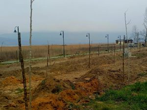 ΦΥΤΕΥΣΕΙΣ ΣΤΗΝ ΠΑΡΑΛΙΜΝΙΑ ΖΩΝΗ ΤΗΣ ΔΟΪΡΑΝΗΣ 3