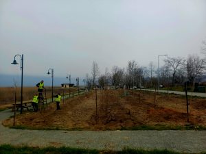 ΦΥΤΕΥΣΕΙΣ ΣΤΗΝ ΠΑΡΑΛΙΜΝΙΑ ΖΩΝΗ ΤΗΣ ΔΟΪΡΑΝΗΣ 4