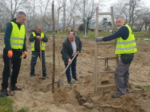 ΦΥΤΕΥΣΕΙΣ ΣΤΗΝ ΠΑΡΑΛΙΜΝΙΑ ΖΩΝΗ ΤΗΣ ΔΟΪΡΑΝΗΣ 4.1jpg
