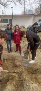 ΦΥΤΕΥΣΕΙΣ ΣΤΗΝ ΠΑΡΑΛΙΜΝΙΑ ΖΩΝΗ ΤΗΣ ΔΟΪΡΑΝΗΣ 5.2jpg