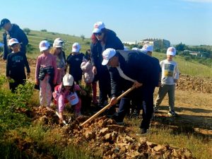 ΔΕΝΔΡΟΦΥΤΕΥΣΗ ΠΕΥΚΩΝ ΣΤΗΝ ΠΕΡΙΟΧΗ ΑΓΙΩΝ ΑΝΑΡΓΥΡΩΝ ΜΕΤΑΛΛΙΚΟΥ 1