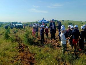 ΔΕΝΔΡΟΦΥΤΕΥΣΗ ΠΕΥΚΩΝ ΣΤΗΝ ΠΕΡΙΟΧΗ ΑΓΙΩΝ ΑΝΑΡΓΥΡΩΝ ΜΕΤΑΛΛΙΚΟΥ 11