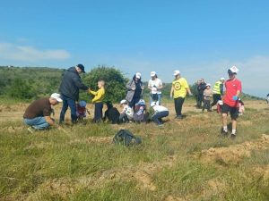 ΔΕΝΔΡΟΦΥΤΕΥΣΗ ΠΕΥΚΩΝ ΣΤΗΝ ΠΕΡΙΟΧΗ ΑΓΙΩΝ ΑΝΑΡΓΥΡΩΝ ΜΕΤΑΛΛΙΚΟΥ 17