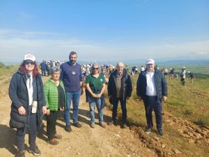 ΔΕΝΔΡΟΦΥΤΕΥΣΗ ΠΕΥΚΩΝ ΣΤΗΝ ΠΕΡΙΟΧΗ ΑΓΙΩΝ ΑΝΑΡΓΥΡΩΝ ΜΕΤΑΛΛΙΚΟΥ 3