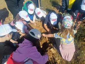 ΔΕΝΔΡΟΦΥΤΕΥΣΗ ΠΕΥΚΩΝ ΣΤΗΝ ΠΕΡΙΟΧΗ ΑΓΙΩΝ ΑΝΑΡΓΥΡΩΝ ΜΕΤΑΛΛΙΚΟΥ 4.3jpg