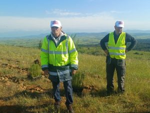 ΔΕΝΔΡΟΦΥΤΕΥΣΗ ΠΕΥΚΩΝ ΣΤΗΝ ΠΕΡΙΟΧΗ ΑΓΙΩΝ ΑΝΑΡΓΥΡΩΝ ΜΕΤΑΛΛΙΚΟΥ 9