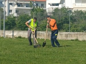 ΔΕΝΔΡΟΦΥΤΕΥΣΗ ΣΤΟ ΓΗΡΟΚΟΜΕΙΟ ΚΙΛΚΙΣ 3