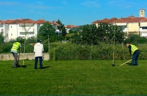ΔΕΝΔΡΟΦΥΤΕΥΣΗ ΣΤΟ ΓΗΡΟΚΟΜΕΙΟ ΚΙΛΚΙΣ 7