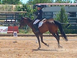 AGVNES IPPIKHS DEJIOTEXNIAS 2026 7