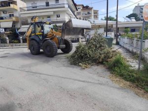 ΚΑΘΑΡΙΣΜΟΣ ΠΟΛΗΣ ΑΠΟ ΚΛΑΔΙΑ ΚΑΙ ΟΓΚΩΔΗ ΑΝΤΙΚΕΙΜΕΝΑ 1