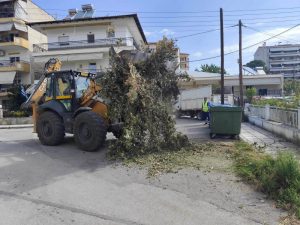 ΚΑΘΑΡΙΣΜΟΣ ΠΟΛΗΣ ΑΠΟ ΚΛΑΔΙΑ ΚΑΙ ΟΓΚΩΔΗ ΑΝΤΙΚΕΙΜΕΝΑ 4