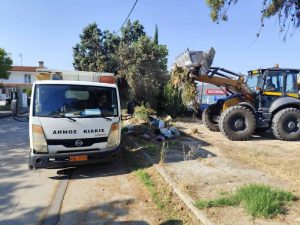 ΚΑΘΑΡΙΣΜΟΣ ΠΟΛΗΣ ΑΠΟ ΚΛΑΔΙΑ ΚΑΙ ΟΓΚΩΔΗ ΑΝΤΙΚΕΙΜΕΝΑ 6