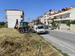 ΚΑΘΑΡΙΣΜΟΣ ΠΟΛΗΣ ΑΠΟ ΚΛΑΔΙΑ ΚΑΙ ΟΓΚΩΔΗ ΑΝΤΙΚΕΙΜΕΝΑ 7