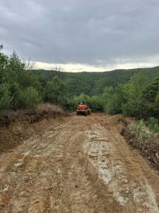 ΦΩΤΙΑ ΣΕ ΔΑΣΙΚΗ ΠΕΡΙΟΧΗ ΤΩΝ ΡΙΖΑΝΩΝ 2