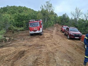 ΦΩΤΙΑ ΣΕ ΔΑΣΙΚΗ ΠΕΡΙΟΧΗ ΤΩΝ ΡΙΖΑΝΩΝ 3