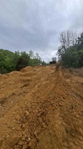 ΦΩΤΙΑ ΣΕ ΔΑΣΙΚΗ ΠΕΡΙΟΧΗ ΤΩΝ ΡΙΖΑΝΩΝ 4 ΦΩΤΙΑ ΣΕ ΔΑΣΙΚΗ ΠΕΡΙΟΧΗ ΤΩΝ ΡΙΖΑΝΩΝ 4